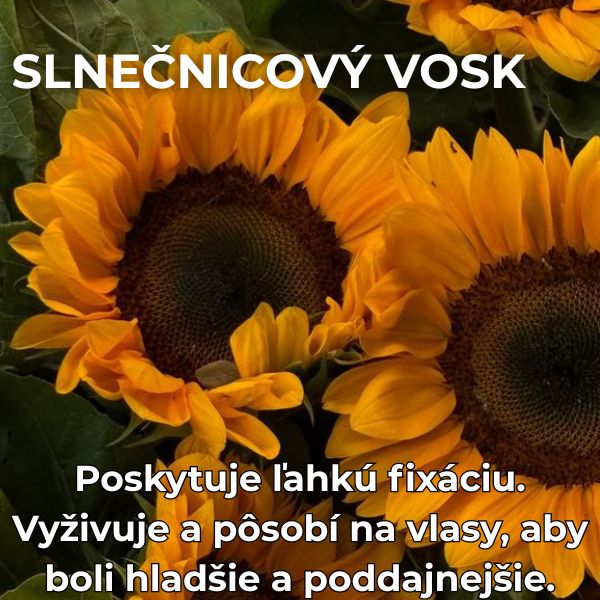 slnecnicovy vosk